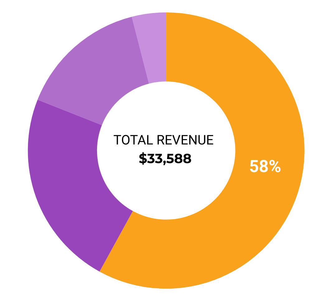 Ring diagram showing Total revenue in 2024/2025